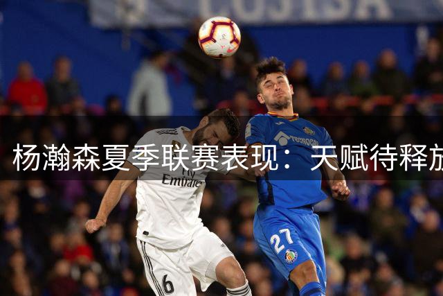 杨瀚森夏季联赛表现：天赋待释放的关键节点