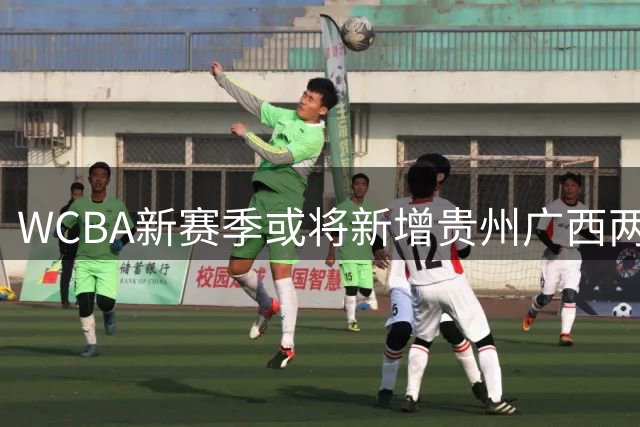 WCBA新赛季或将新增贵州广西两支女篮队伍
